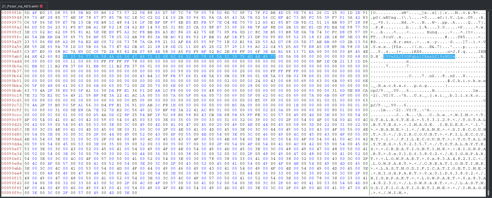 hex editor screenshot